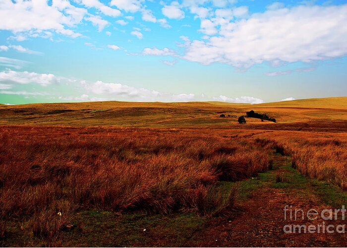 Outdoors Greeting Card featuring the photograph Brecon Beacons by Richard Denyer