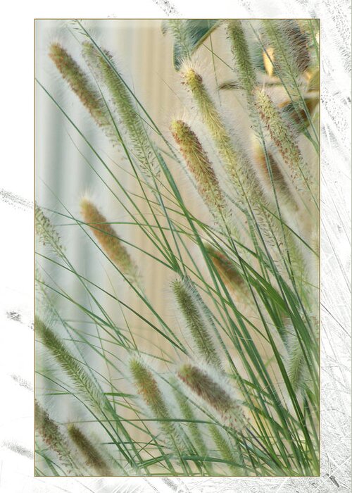Floral Greeting Card featuring the photograph Breeze by Holly Kempe