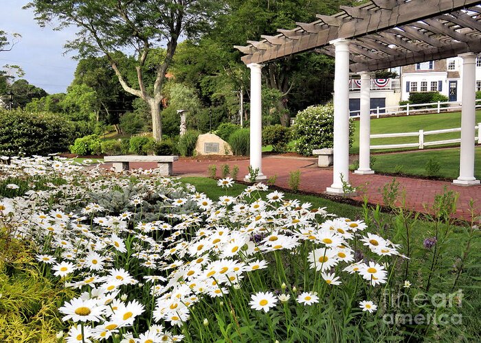 Brewster Gardens Greeting Card featuring the photograph Brewster Gardens in July by Janice Drew