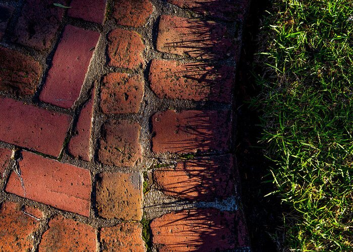 Bricks Greeting Card featuring the photograph Brick Path in Afternoon Light by Derek Dean