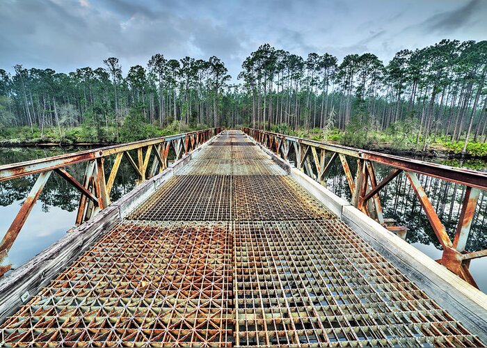 Natural Florida Greeting Card featuring the photograph Bridge into Tate's Hell by JC Findley