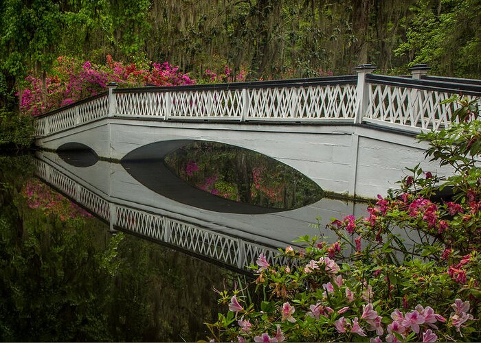 Bridge Greeting Card featuring the photograph Bridge Reflections by James Woody