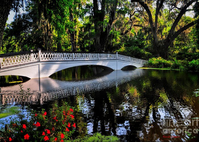 Charleston Greeting Card featuring the photograph Bridge to Spring by Randy Rogers
