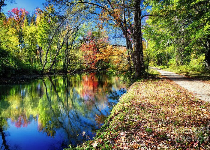 D & R Canal Greeting Card featuring the photograph Bright Autumn Day at the Canal by George Oze