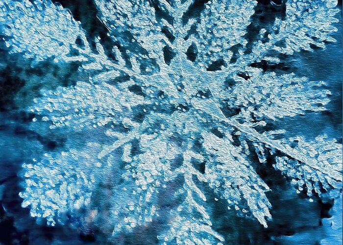 Snowflake Greeting Card featuring the photograph Bright Snowflake by Kathy Bassett