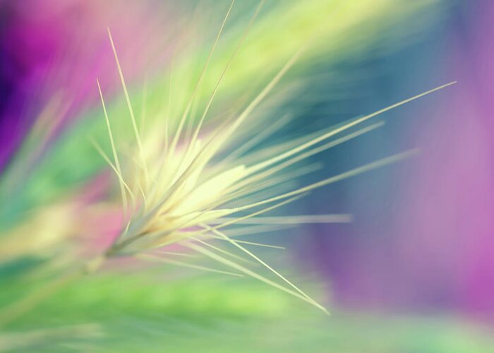 Photography Greeting Card featuring the digital art Bright Weed by Terry Davis