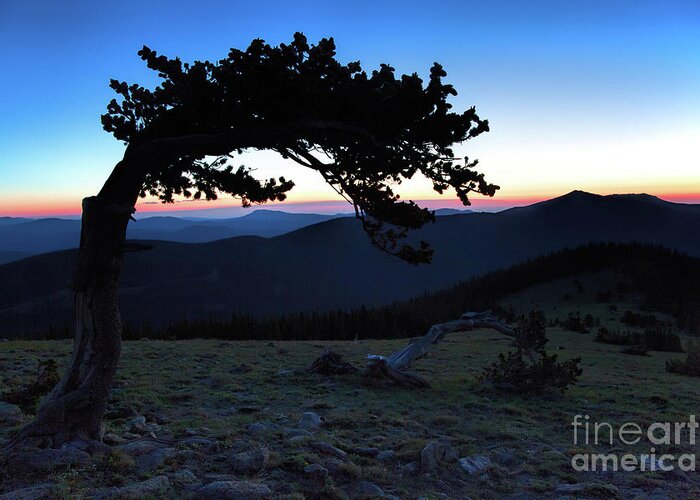 Bristlecone Landscape Greeting Card featuring the photograph Unbroken by Jim Garrison