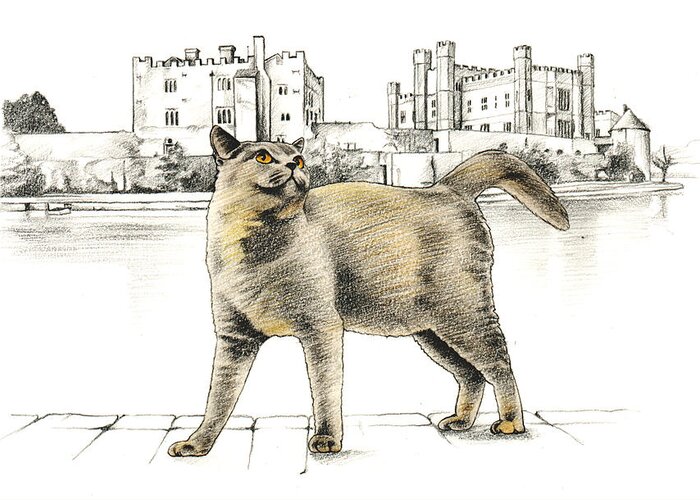Cat Greeting Card featuring the drawing British Blue by Johanna Pieterman