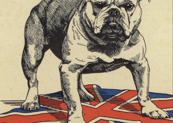 British Bulldog Greeting Card featuring the drawing British bulldog standing on the union jack flag by English School