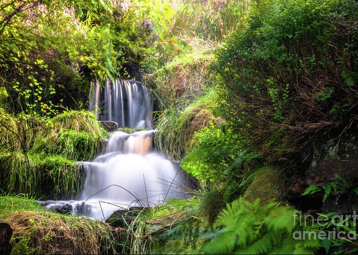 Airedale Greeting Card featuring the photograph Bronte Waterfall by Mariusz Talarek