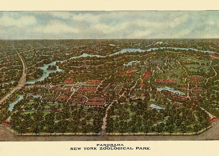 Map Of Bronx Zoo Greeting Card featuring the photograph Bronx Zoo 1913 by Andrew Fare