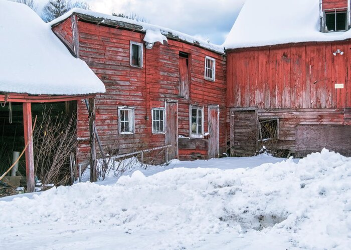 Williamsville Vermont Greeting Card featuring the photograph Brookline Barns by Tom Singleton