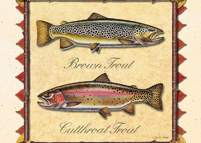 Jon Q Wright Jq Licensing Trout Fly Flyfishing Brown Trout Rainbow Trout Brook Trout Cutthroat Trout Fishing Lodge Cabin Greeting Card featuring the painting Brown and Cutthroat Creme by JQ Licensing