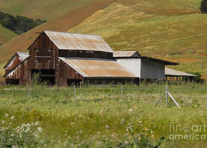 Farm Landscape Greeting Card featuring the photograph Brown Barn Hill by Suzanne Oesterling