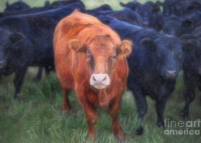 Our Town Greeting Card featuring the photograph Brown Cow by Craig J Satterlee