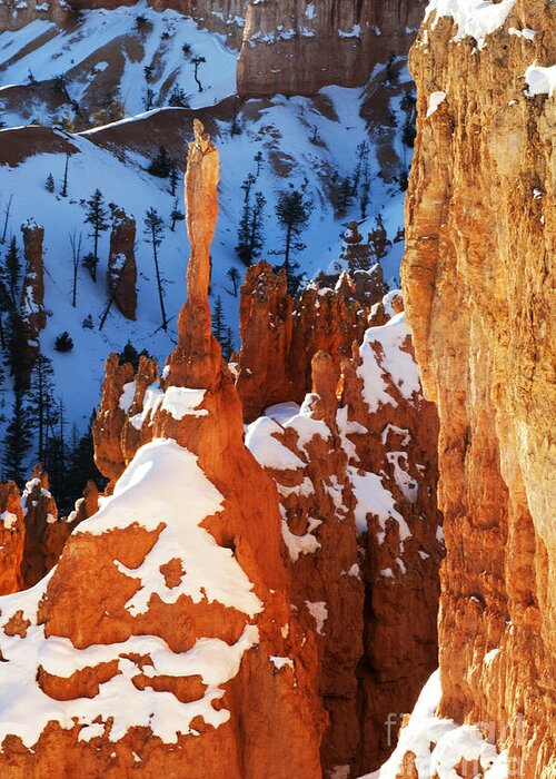 Bryce Greeting Card featuring the photograph Bryce Canyon Winter 4 by Bob Christopher