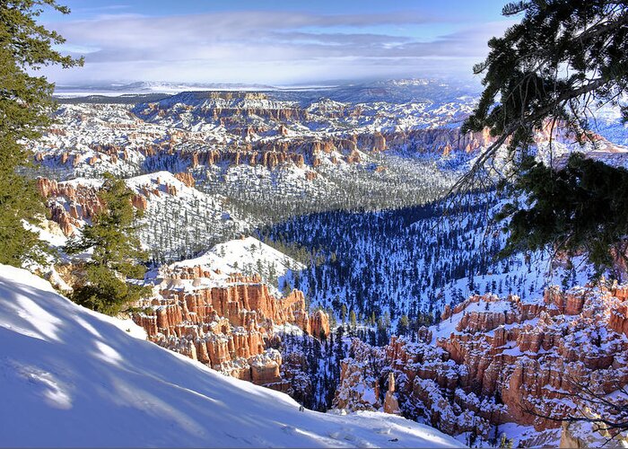 Bryce Canyon Greeting Card featuring the photograph Bryce Canyon Winter by Dan Myers