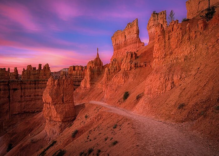 Amazing Greeting Card featuring the photograph Bryce Trails by Edgars Erglis