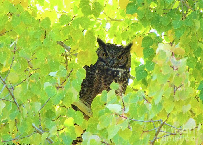 Owl Greeting Card featuring the photograph Bubo virginianus by Michele Penner