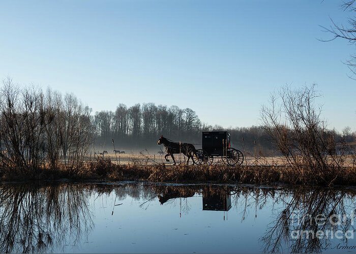 Amish Greeting Card featuring the photograph Buggy Reflected in Pond by David Arment