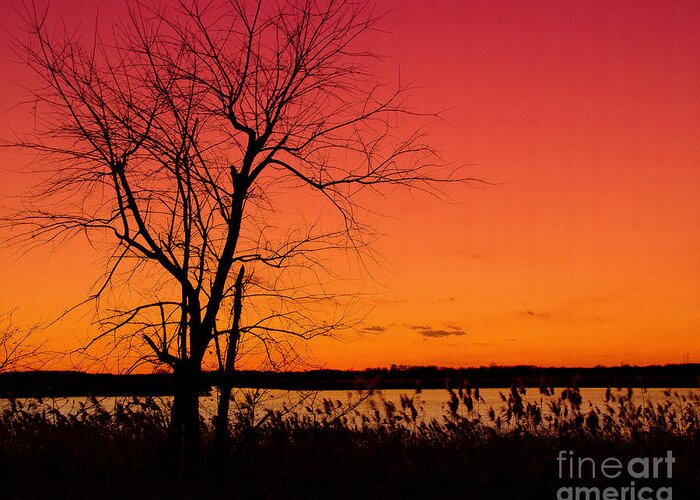 Sunrise Greeting Card featuring the photograph Burning Skies Rural / Rustic Sunset Silhouette Landscape Photo by PIPA Fine Art - Simply Solid