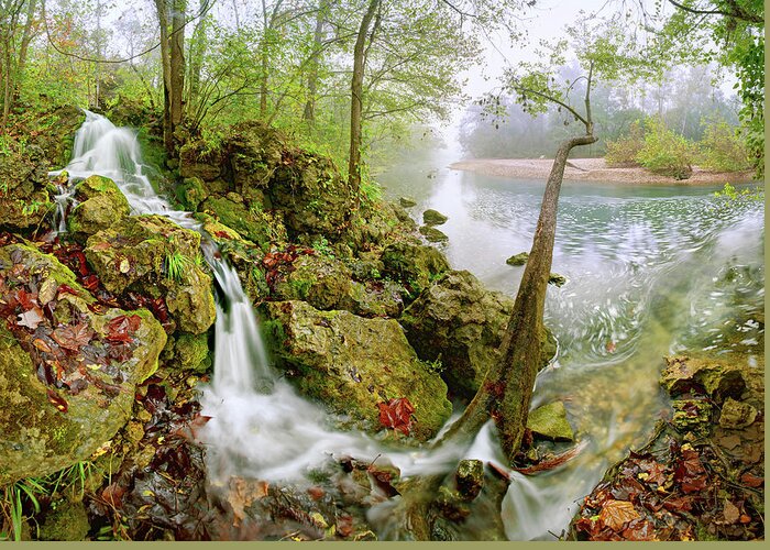 Spring Greeting Card featuring the photograph Burnt Mill Spring by Robert Charity