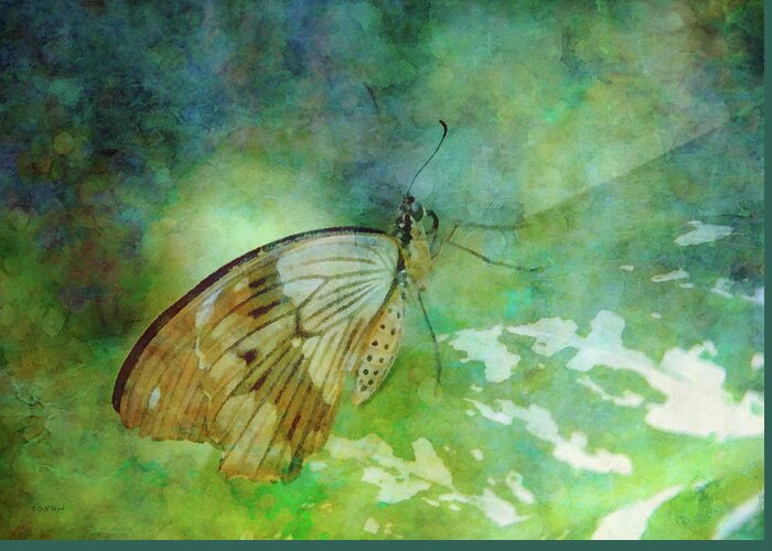 Butterfly Greeting Card featuring the photograph Butterfly 8205 IDP_2 by Steven Ward