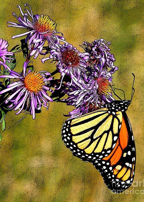 Berry Greeting Card featuring the photograph Butterfly Delight by Diane E Berry