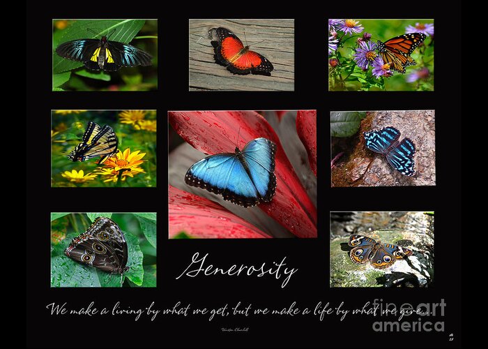 Diane Berry Greeting Card featuring the photograph Butterfly Generosity Collage by Diane E Berry