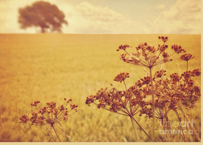 Field Greeting Card featuring the photograph By the side of the wheat field by Lyn Randle
