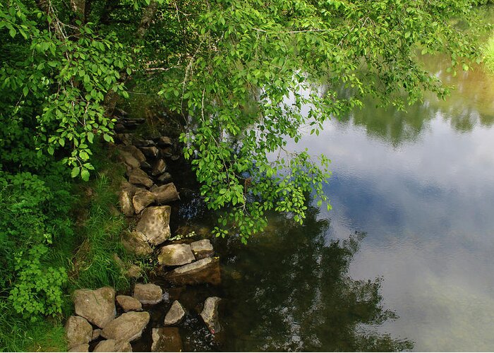 Riverbank Greeting Card featuring the photograph By the Still Waters by Tikvah's Hope
