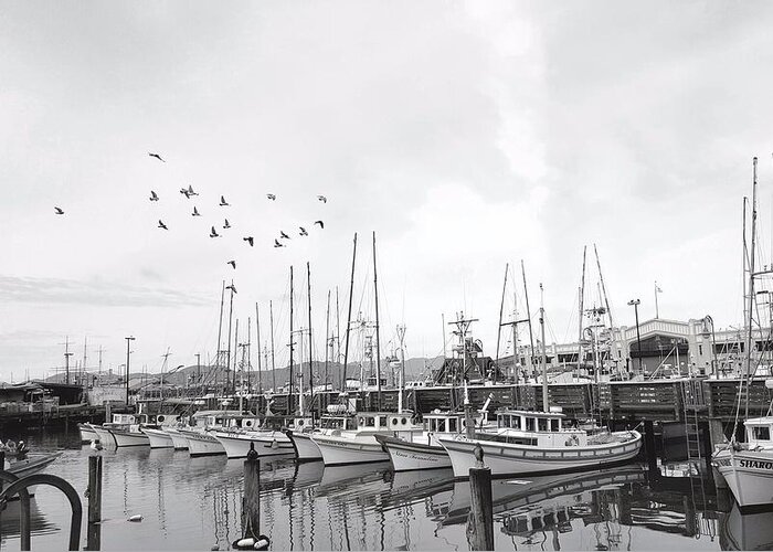 Warf Greeting Card featuring the photograph By the Warf by Megan Ford-Miller