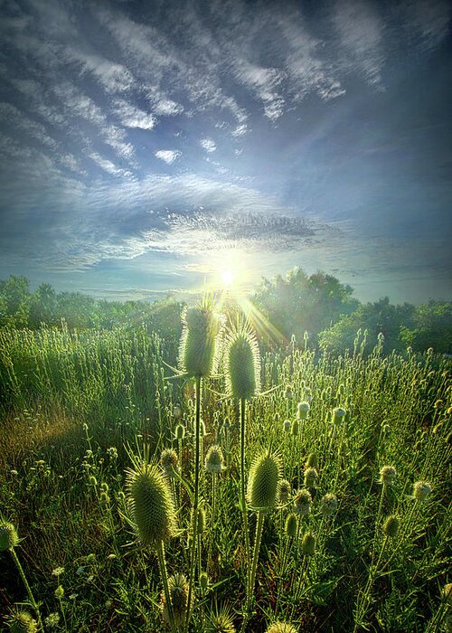 Wisconsin Horizons By Phil Koch. Greeting Card featuring the photograph By Virtue of its Own Existence by Phil Koch