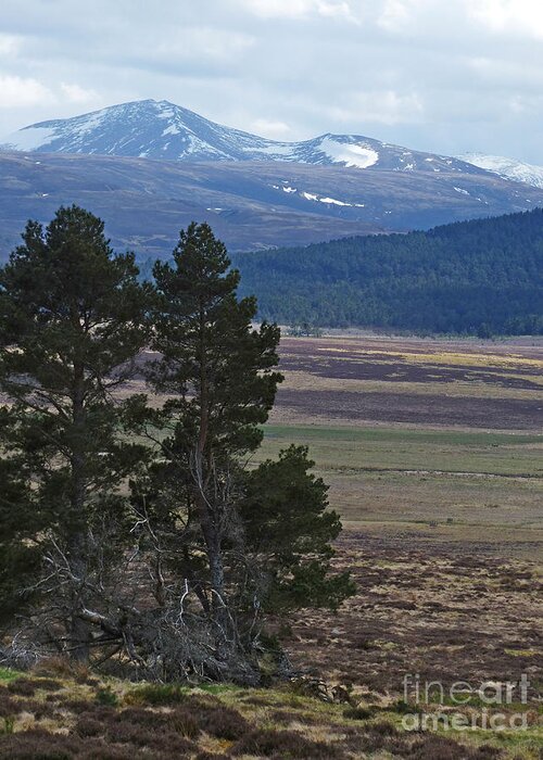 Bynack More Greeting Card featuring the photograph Bynack More and Beag - Cairngorm Mountains by Phil Banks