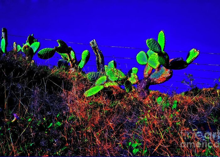 Cactus Greeting Card featuring the photograph Cactus Hawaii big island road side by Tom Jelen