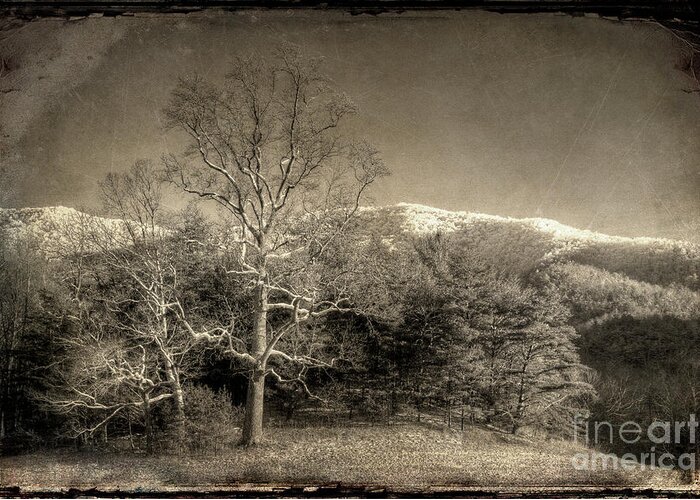 Smoky Mountains Greeting Card featuring the photograph Cades Cove by Michael Eingle