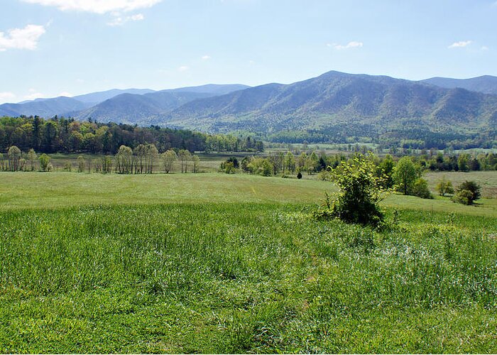 Cades Cove Greeting Card featuring the photograph Cades Cove by Sandy Keeton