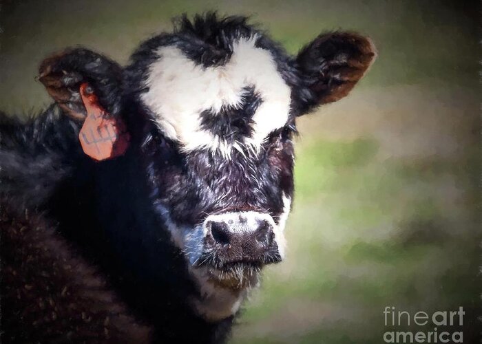 Photography Greeting Card featuring the photograph Calf Number 444 by Laurinda Bowling