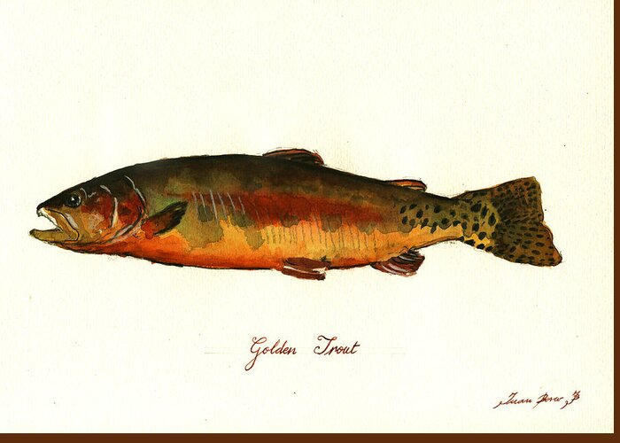 California Golden Trout Greeting Card featuring the painting California golden trout fish by Juan Bosco