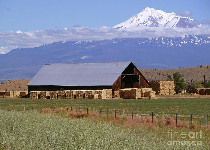 California Hay Barn Greeting Card featuring the photograph California Hay Barn by Two Hivelys