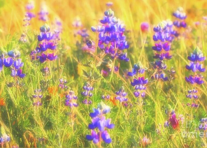Lupines Greeting Card featuring the photograph California Lupines Redux by Gus McCrea