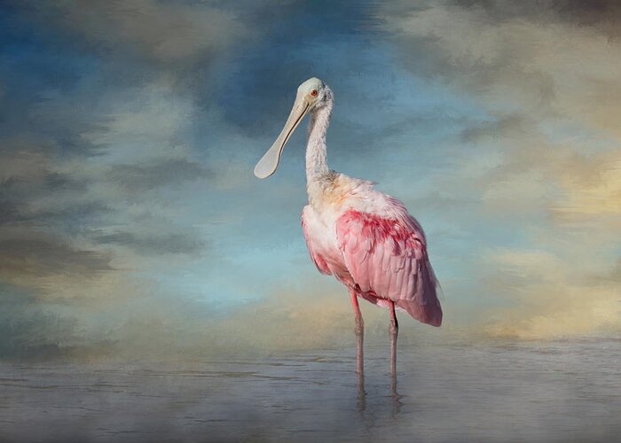 Roseate Spoonbill Greeting Card featuring the photograph Call Me Rosy by Kim Hojnacki