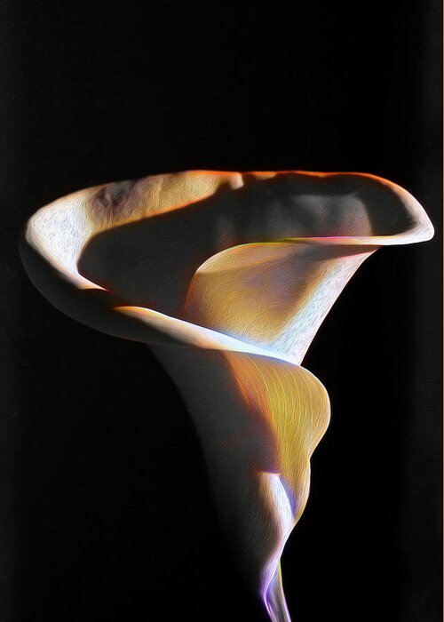 Calla Lily Greeting Card featuring the photograph Calla Lily Dreams by Joe Schofield