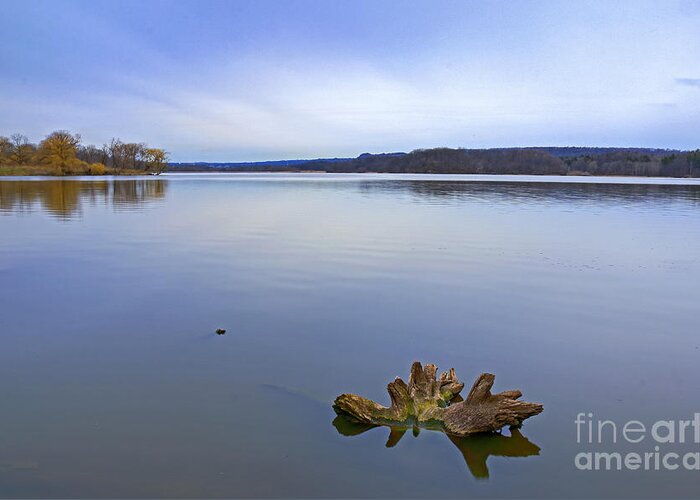 Landscape Greeting Card featuring the photograph Early Spring Calm by Charline Xia