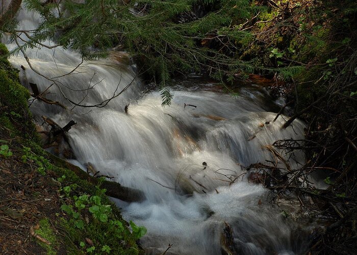 Flowing Water Greeting Card featuring the photograph Calming Stream by DeeLon Merritt