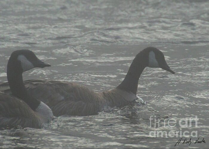 Geese Greeting Card featuring the photograph Canada Geese In Fog-Signed-#6800 by J L Woody Wooden