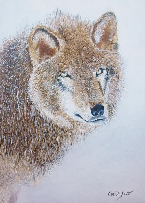 Wolf Greeting Card featuring the painting Canada grey wolf. by Jean Yves Crispo