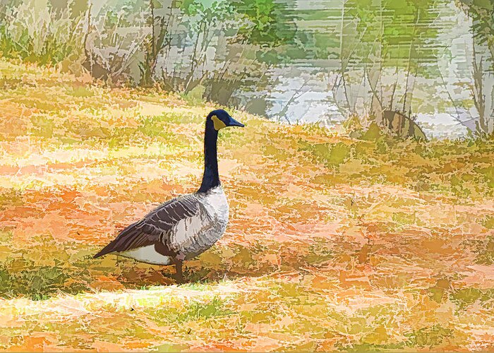 Canadian Geese Greeting Card featuring the painting Canadian geese 6 by Jeelan Clark