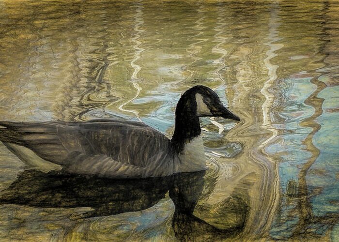 Goose Greeting Card featuring the painting Canadian Goose by Steven Richardson