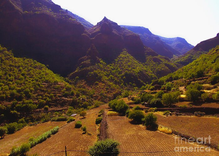 Landscape Greeting Card featuring the digital art Canarian Agriculture by Andrew Middleton